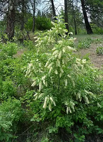 alternativní popis obrázku chybí