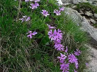 alternativní popis obrázku chybí