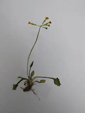 popis obrázku chybí