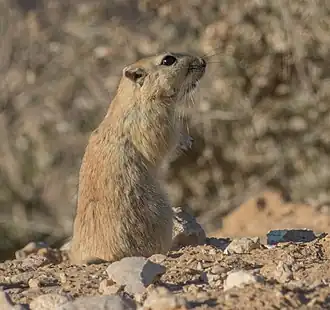 popis obrázku chybí