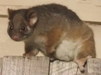 alternativní popis obrázku chybí