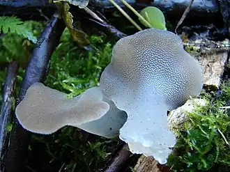 alternativní popis obrázku chybí