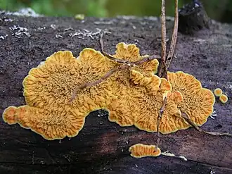 alternativní popis obrázku chybí