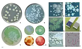 alternativní popis obrázku chybí