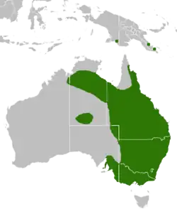 Areál rozšíření