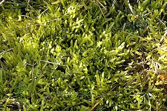 alternativní popis obrázku chybí