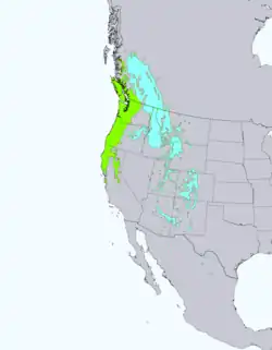 Areál rozšíření