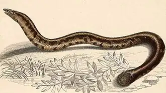 popis obrázku chybí