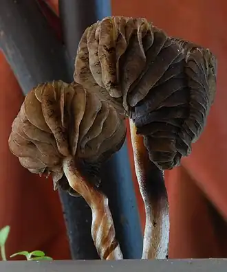 alternativní popis obrázku chybí