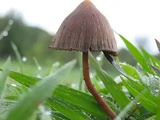 alternativní popis obrázku chybí