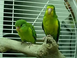 alternativní popis obrázku chybí