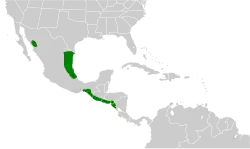 Areál rozšíření