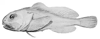 alternativní popis obrázku chybí