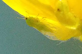 alternativní popis obrázku chybí