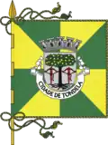 Tondela – vlajka