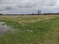 Mokřady na Josefovských loukách