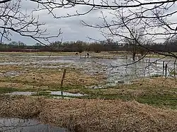 Pratuři na Josefovských loukách