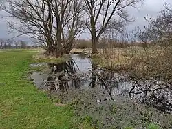 Mokřady na Josefovských loukách