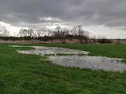 Mokřady na Josefovských loukách
