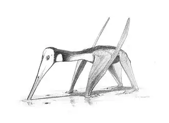 alternativní popis obrázku chybí