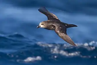 alternativní popis obrázku chybí