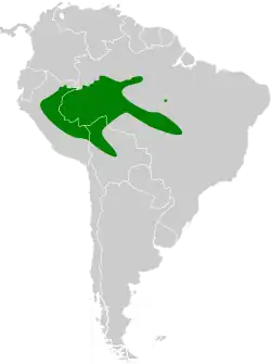 Areál rozšíření