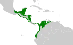 Areál rozšíření