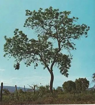 alternativní popis obrázku chybí