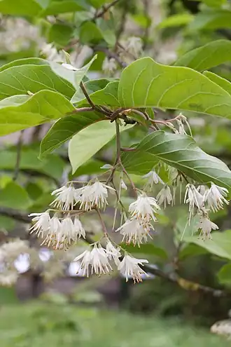 alternativní popis obrázku chybí