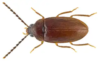 alternativní popis obrázku chybí