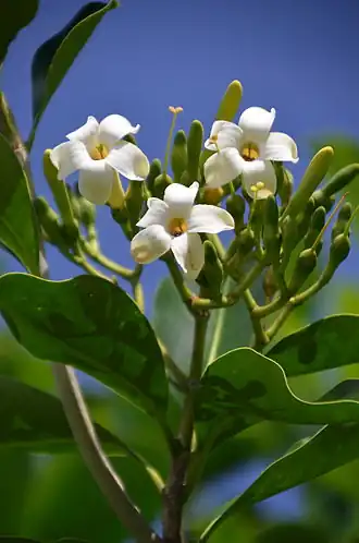 alternativní popis obrázku chybí