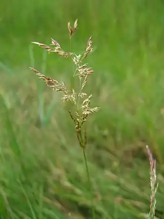 alternativní popis obrázku chybí