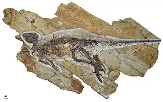 alternativní popis obrázku chybí