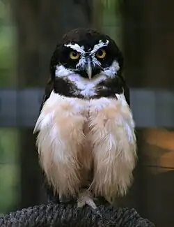 alternativní popis obrázku chybí