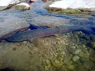 alternativní popis obrázku chybí