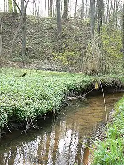 Purmalė u vsi Purmaliai, v pozadí "hradiště" Purmalių piliakalnis