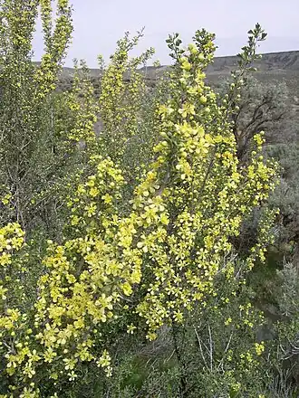 alternativní popis obrázku chybí