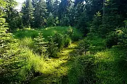 Meliorační kanál – Pustý rybník