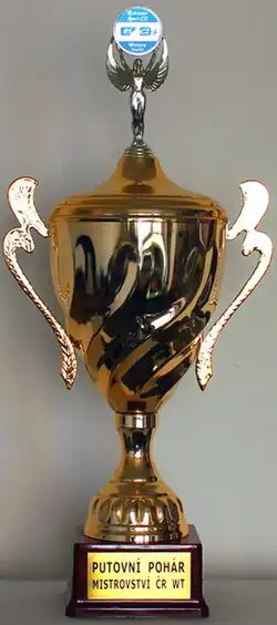Pohár pro vítěze WT finále