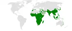Areál rozšíření