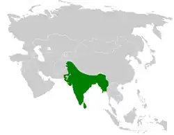 Zeleně vyznačené původní rozšíření bulbulů šupinkových