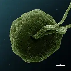 alternativní popis obrázku chybí