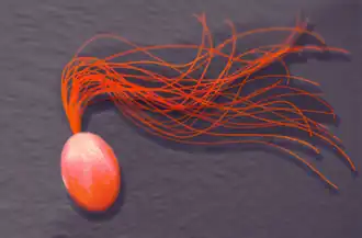 alternativní popis obrázku chybí