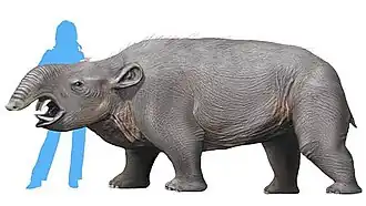 alternativní popis obrázku chybí