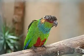 alternativní popis obrázku chybí