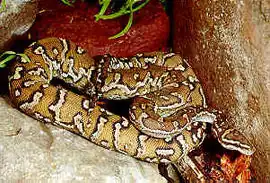 alternativní popis obrázku chybí