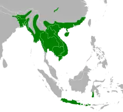 Areál rozšíření