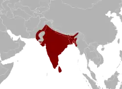 Areál rozšíření