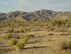 Quail Mountain ze severozápadní části Národního parku Joshua Tree