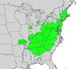 Areál rozšíření